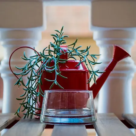 Sunrise Apolo * Торевьиа